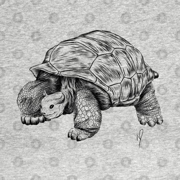 Bull tortoise by Ndanceart